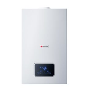 Calentador a Gas Saunier Duval OpaliaTherm F17/1 (Gas Natural)